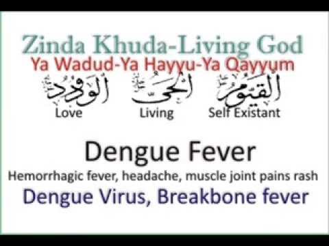 Healing Dengue Fever or Dengue hemorrhagic Fever Healing Dengue Fever or Dengue hemorrhagic Fever