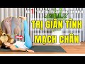 Yoga Trị Liệu Suy Giãn Tĩnh Mạch | Bài 1 | Bài Tập Yoga Trị Liệu Giãn Tĩnh Mạch Chân _ Mọi Trình Độ