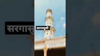 सरगासुली जयपुर | Sargasuli jaipur shorts #ytshorts #shorstviral #shorts #viral