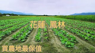 花蓮鳳林漂亮農地，面積1046坪|每坪開價5500元|花蓮買農地|花蓮土地|賞地專線0952-686-970盧先生