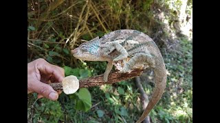 Madagascar: Unique wildlife, amazing people