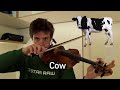 AMEZING VIOLIN SOUNDS CREATIVITY  Instrumental Violinspiration