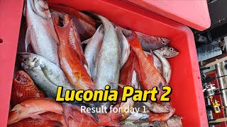 [Luconia JIgging Part 2] Strawberry hunting mission