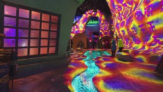 Meow Wolf announces permanent 'portal' in North Texas