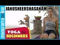 Janusheershasanam | Yoga for beginners Health Benefits | Manorama Online
