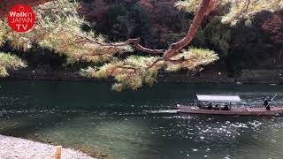 [4K] KYOTO My favorite place 京都 嵐山 絵になる風景 A beautiful landscape  #4K