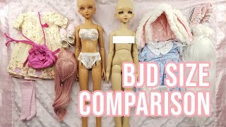 BJD Size Comparison - MYOU 1/4 vs LUTS Kid Delf