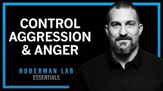 Understanding & Controlling Aggression | Huberman Lab Essentials