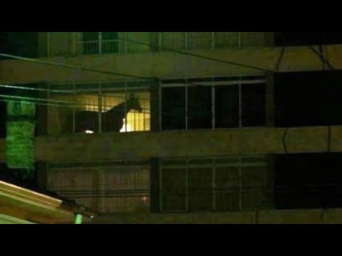 Extremely Cursed Images That Make Me Question My Existance Youtube