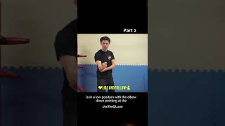 Wing Chun vs Jeet Kune Do Technique Part 2 #shorts