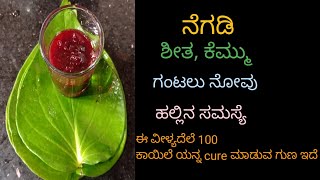 ಅಬ್ಬಾ ತುಂಬಾ ನೆಗಡಿ ಶೀತಾ ಕೆಮ್ಮು ಏನ್ಮಾಡೋದು ಜ್ವರನು ಇದೆ ಮಕ್ಕಳಿಗೂ ದೊಡ್ಡವರಿಗೂ ಒಂದೇ ಪರಿಹಾರ ashavlogsinkannad