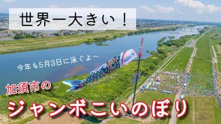 世界一のジャンボこいのぼりと、ジャンボたけのこ掘り！？【いまドキッ！埼玉】2023.4.22放送