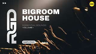 Big Room Sample Pack - Revealed Inspired Pack | Studio Projects & Vocals