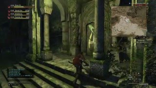 DDON ロア キメラ 等　ディナン深層林周回：途中から シーカー視点