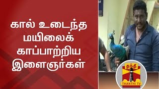 கால் உடைந்த மயிலைக் காப்பாற்றிய இளைஞர்கள் | Thanthi TV