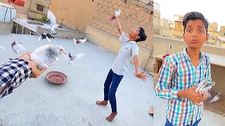 Uda Diya Palti Maar Kabootaro Ko 😱 Arman Birds 🐦 Vlog