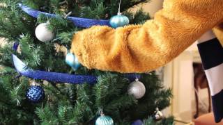 Penn State Berks Holiday Video 2015