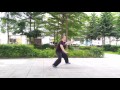 楊式太極拳進步掤勢練法公開示範 yeung style taichi walking demostration