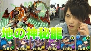 パズドラ【地の神秘龍】地獄級　ウミサチヤマサチPT