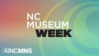 NC Museum Week - Why are Museum Collections Important?