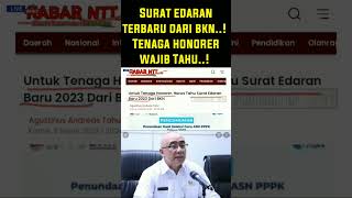 Imfo Baru Saja🔴Surat Edaran Terbaru Dari BKN❗Tenaga Honorer Wajib Ketahui #shortsvideo