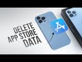 How to Delete App Store Data on iPhone (explained)