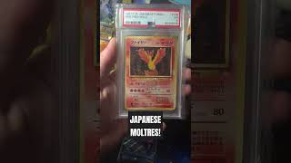 Japanese Moltres!