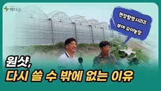 [메디풀TV 현장탐방시리즈] 부여 오이농장을 찾아서