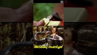 പിന്നീട് അവിടെ നടന്നത് 😲#shortsfeed #trending #filmexplain