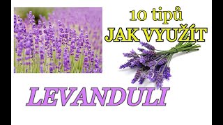 LEVANDULE | SKLIZEŇ LEVANDULE, CO Z NÍ MŮŽEME VYRÁBĚT A JAK JÍ VYUŽÍT - 10 TIPŮ