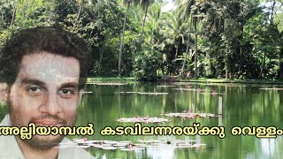 Alliyaambal Kadavilannaraykku Vellam | അല്ലിയാമ്പല്‍ കടവിലന്നരയ്‌ക്കു വെള്ളം | Yesudas