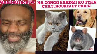 Fr Jf ifonge, Scandale!!!! Na Mboka na biso bazo teka Chat, Souris na Mbwa. (Santé ya batu Mawa).