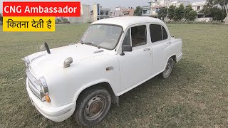 Car और मालिक दोनो का एक रुतबा है ❤️ Ambassador From Hindustan Motors