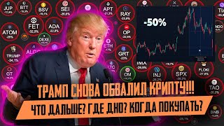 Почему Альткоины Падают? Рынок Летит Вниз! Это Дно? Где Начинать Покупать Крипту?