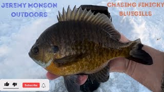 Chasing Bluegills… Coaxing Finicky Fish!