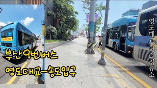 #부산9번버스🚍/영도대교-송도입구