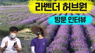 라벤더 허브원을 방문해 보았습니다