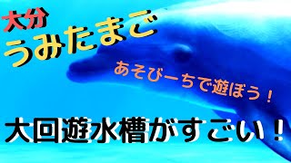 うみたまごのお魚＆あそびーちをご紹介！ 大回遊水槽に子供は大満足♪