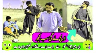 Pasie Dany Wala Drakht Laytest Video 2024 Click By Team 108