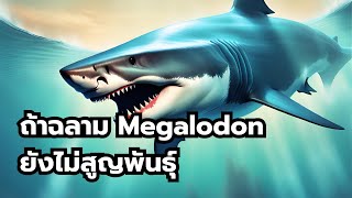 จะเกิดอะไรขึ้น ถ้าฉลาม Megalodon ยังไม่สูญพันธุ์