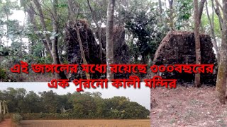 Siddhikali Mandir || Kalibari Siddhikali || History of Raghunathgang Kali Mandir||Kali Bari