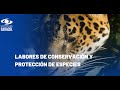 Cerrejón, finalista del Premio Caracol TV a la Protección del Medio Ambiente 2024