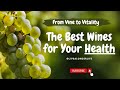 Healthiest Red Wines to drink | From Vine to Vitality #RedWineHealth #HealthyWineChoice #Winehealth