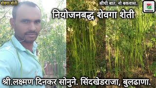 नियोजनबद्ध शेवगा शेती | शेवगा शेती पूर्ण माहिती | Drumstick farming |