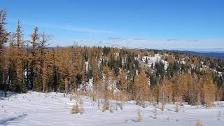 溫哥華一起爬山的那些日子- Mt. Frosty@ E.C. Manning Park (127)