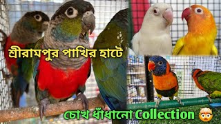 Serampore Pet Market 💥|🔥 Recent Bird Price Update | Premium Quality Amazon Parrot, Grey Parrot Etc.🤯