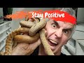 STAY POSITIVE - CrittaCam