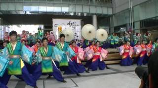 「静岡大学よさこいサークルお茶ノ子祭々『一瞬』」浜よさ　がんこ祭2017