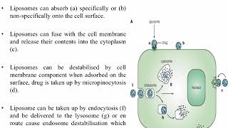 5  Micelles \u0026 Liposomes