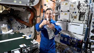 How NASA recycles astronaut sweat and pee — for drinking water